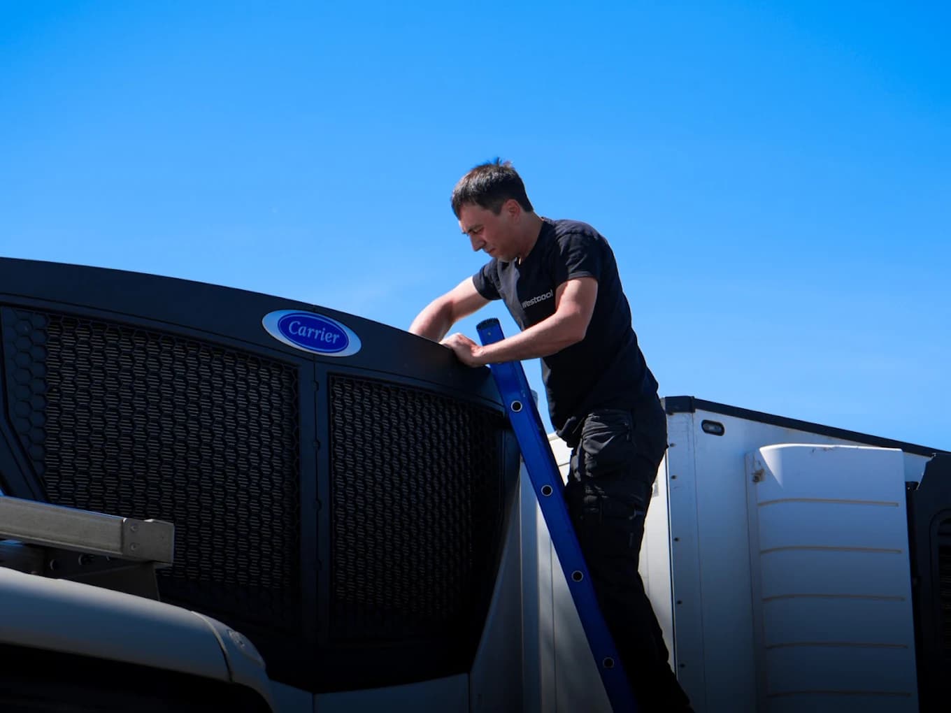 A Westcool technician working on a Carrier refrigeration unit, against a blue sky